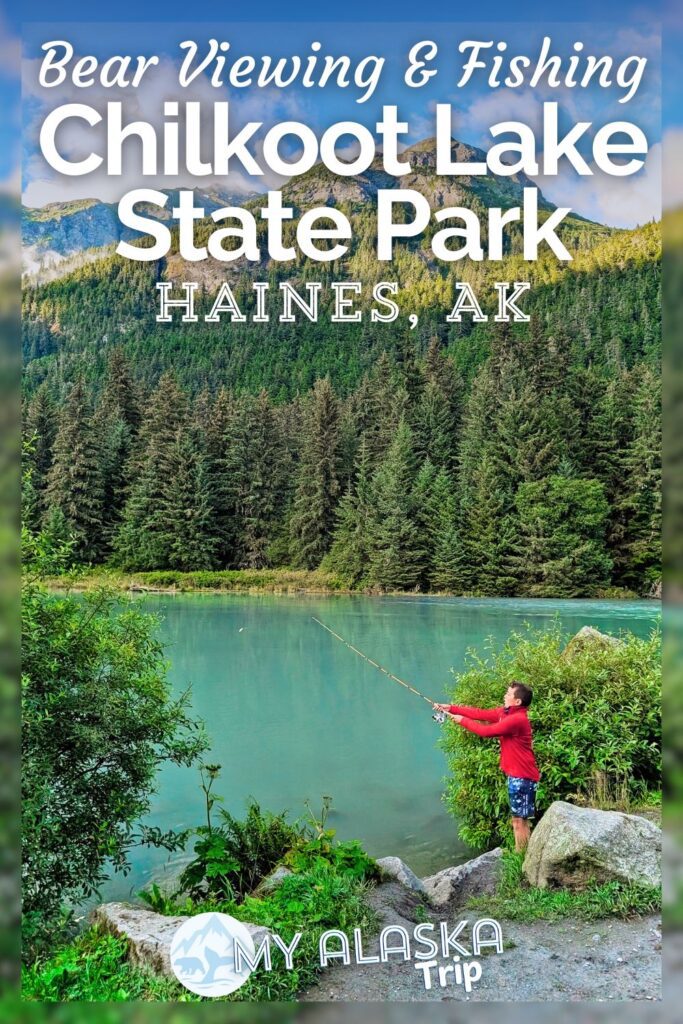 Chilkoot Lake State Park in Haines is a beautiful spot for fishing as well as consistently seeing bears and bald eagles. We have great tips for when and where to watch for brown bears, how to see salmon spawning, watching for eagles and even kayaking recommendations at Chilkoot State Recreation Area.