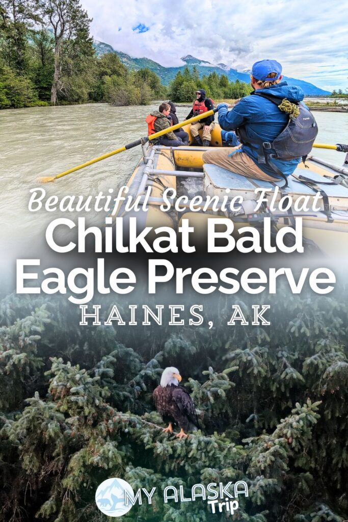 Rafting through the Chilkat Bald Eagle Preserve in Haines, Alaska is a low-key and beautiful way to get on the water and see wildlife. Visiting from Skagway or if you're staying in Haines, this trip is a great opportunity to enjoy the Chilkat River and its vast preserved wilderness while you visit the Inside Passage.
