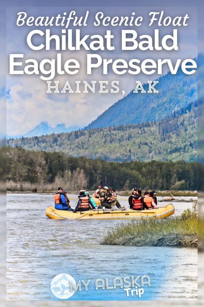 Rafting through the Chilkat Bald Eagle Preserve in Haines, Alaska is a low-key and beautiful way to get on the water and see wildlife. Visiting from Skagway or if you're staying in Haines, this trip is a great opportunity to enjoy the Chilkat River and its vast preserved wilderness while you visit the Inside Passage.