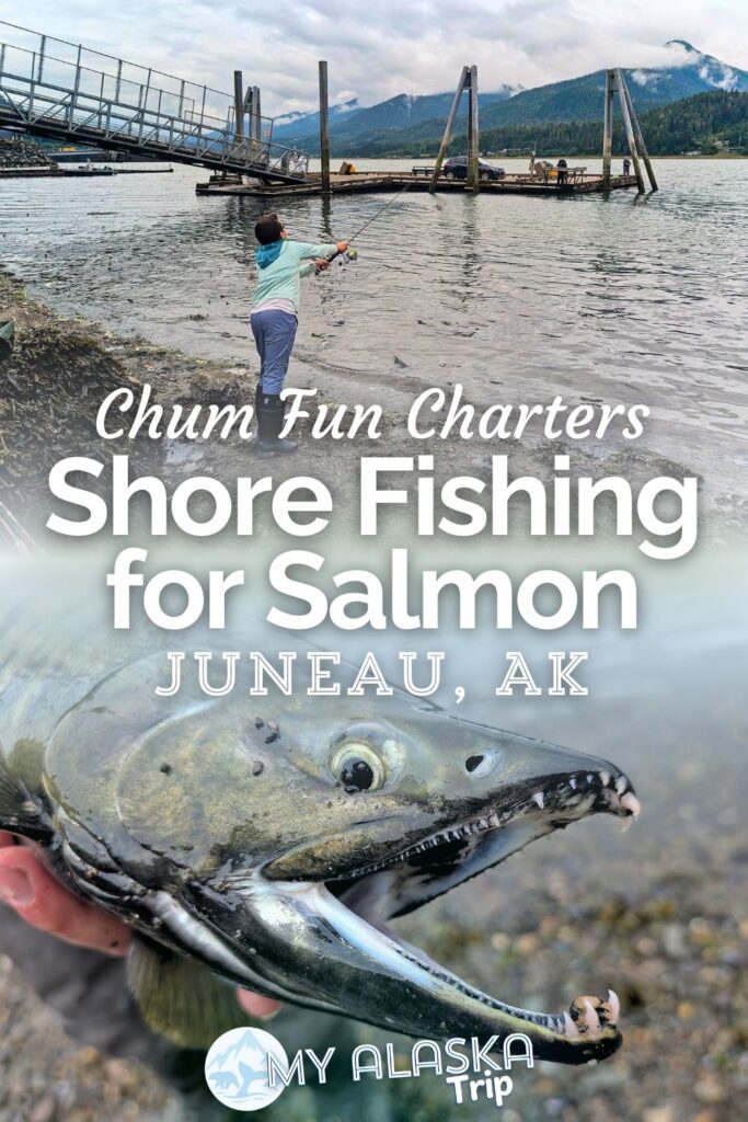 Salmon fishing with Chum Fun Charters in Juneau is one of the most active fishing experiences we've had in Alaska or anywhere else. Shore fishing instead of being out on a boat is very different and it's a great way to add a fishing trip to your time in Juneau without taking the entire day.