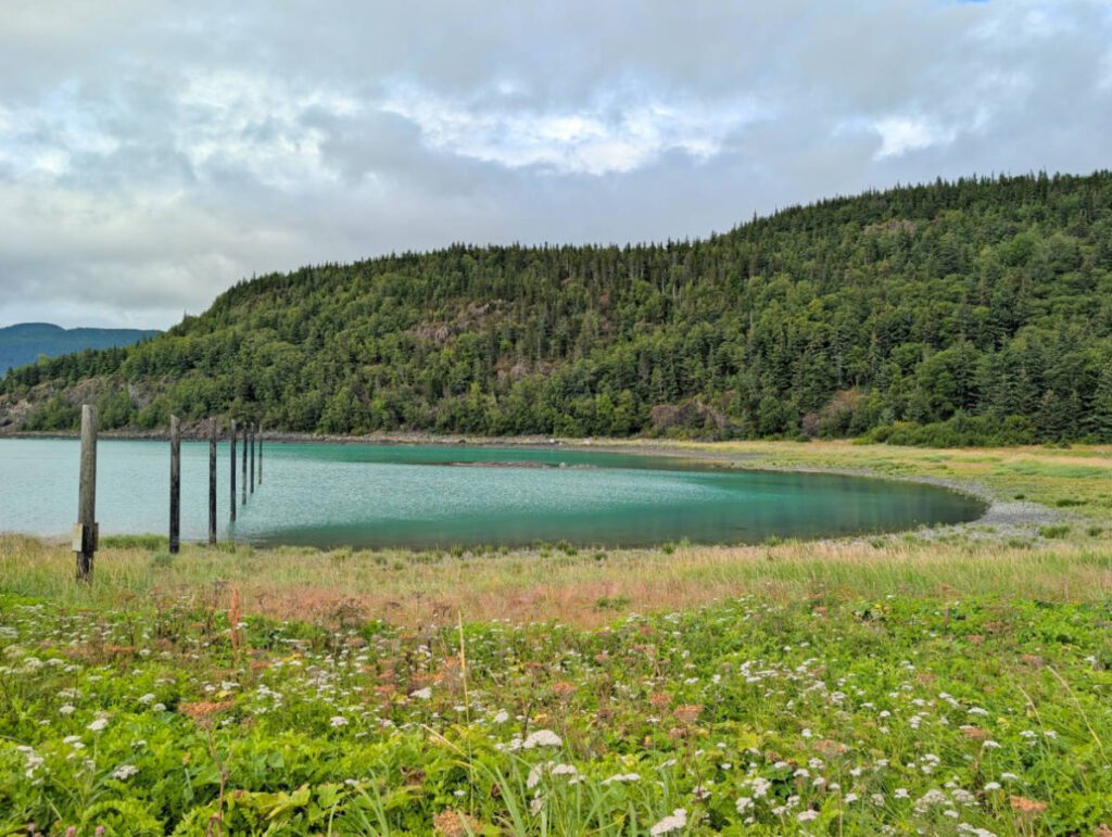 Chilkat State Park Cove in Haines Alaska 2