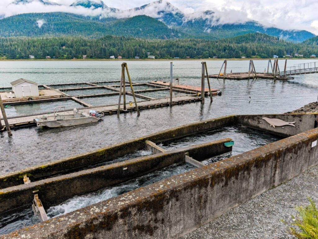 DIPAC Macaulay Salmon Hatchery Fish Ladder Juneau Alaska 1