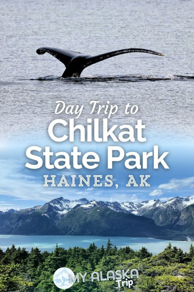 Chilkat State Park in Haines is really beautiful and even has a few wonderful hikes if you have a day to explore the mountains and coastline of the Haines area. See where to find the prettiest peaceful cove and what hike will get you one of the most epic views in the area.