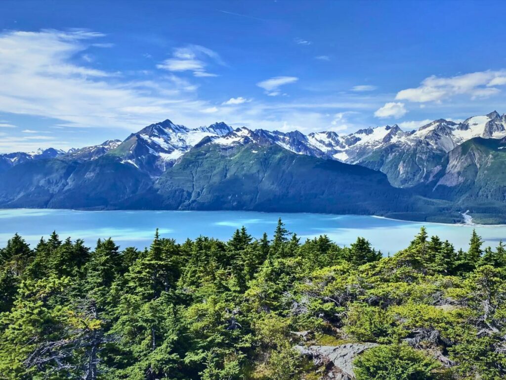 View from Mount Riley Hike in Chilkat State Park Haines Alaska 1