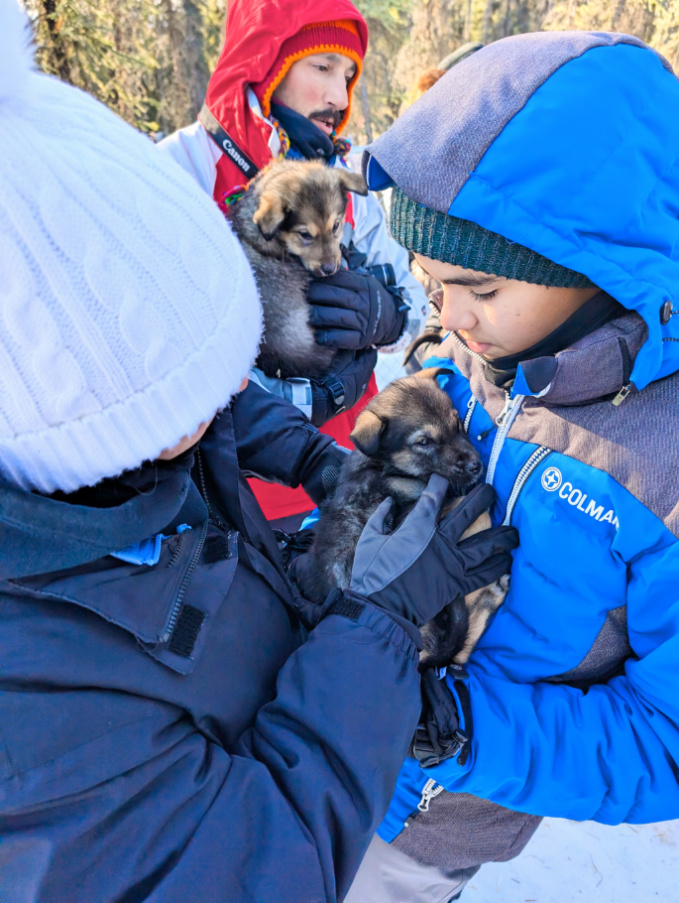 Taylor Family holding Sled Dog puppy at Basecamp Adventures Borealis Basecamp Fairbanks Alaska 2