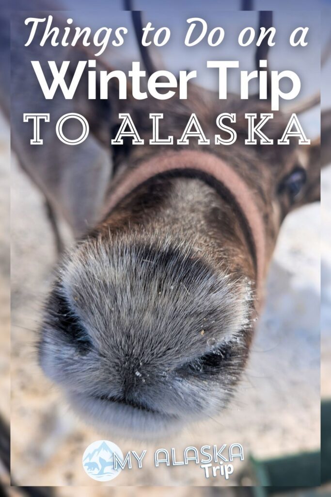Winter in Alaska means tons of fun things to do that you can't really do any other time of year. We've picked our favorite Alaskan activities for the winter months and ordered them by budget. Take our recommendations to plan your own visit to AK during the most beautiful (and cold) time of year!