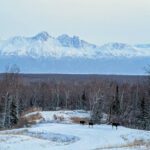 Moose in front of Mountains view from Cabin at Peak Lodging Hatcher Pass Palmer Alaska 1