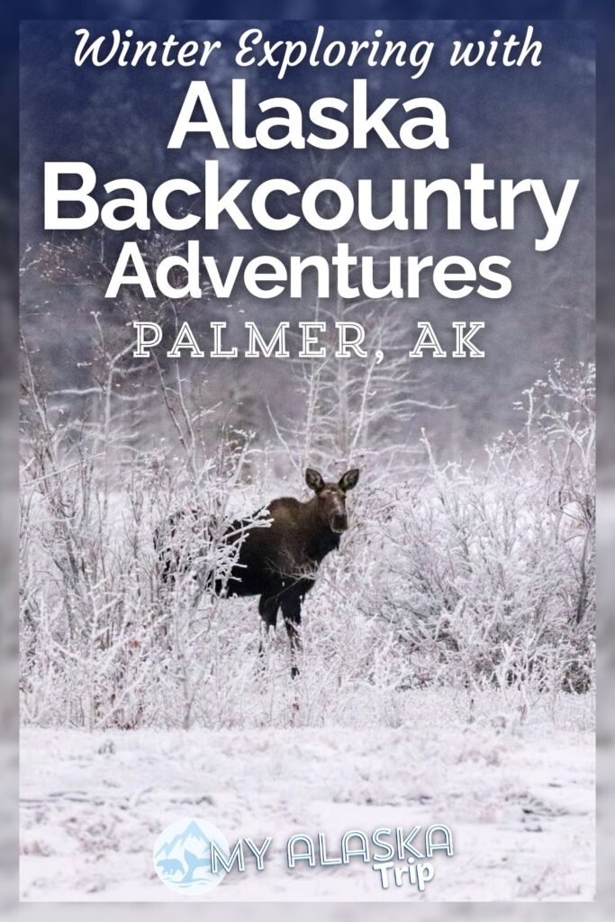 If you want to explore the backcountry in winter, a heated UTV tour is THE way to do it. Alaska Backcountry Adventures in Palmer takes visitors through the frozen Knik River Valley to the face of the Knik Glacier, looking for wildlife the whole way: moose, eagles, Dall sheep and more away this unforgettable day in the snowy wilderness.