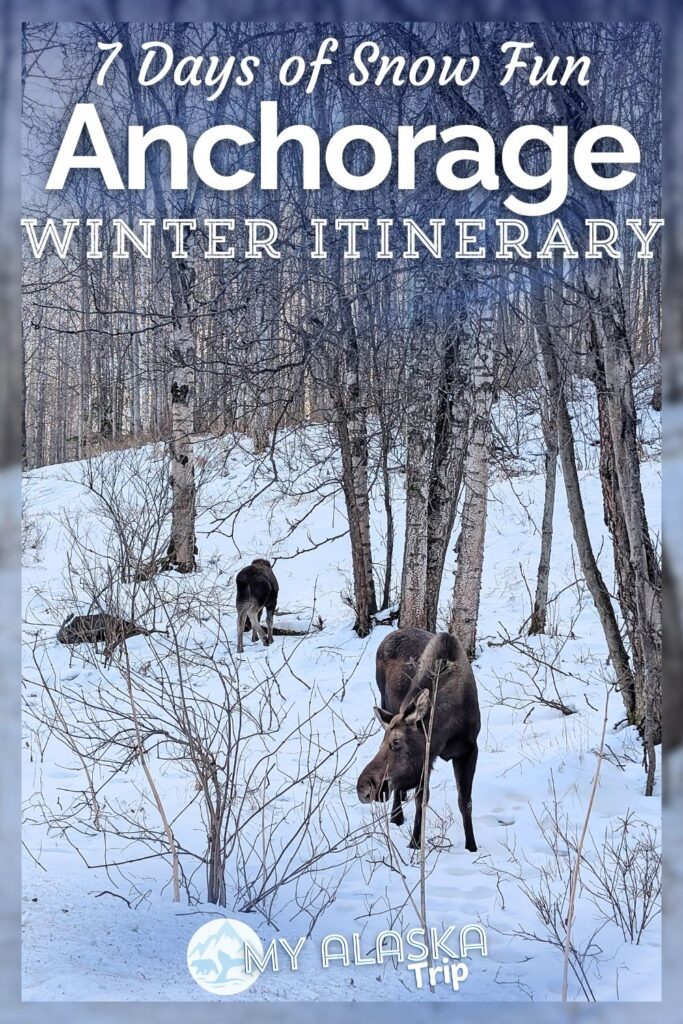 A winter trip to Anchorage, Alaska is more fun than you might realize. From great restaurants in downtown to epic glacier adventures, and even winter kayaking, there are some amazing things to put on your Anchorage winter itinerary!