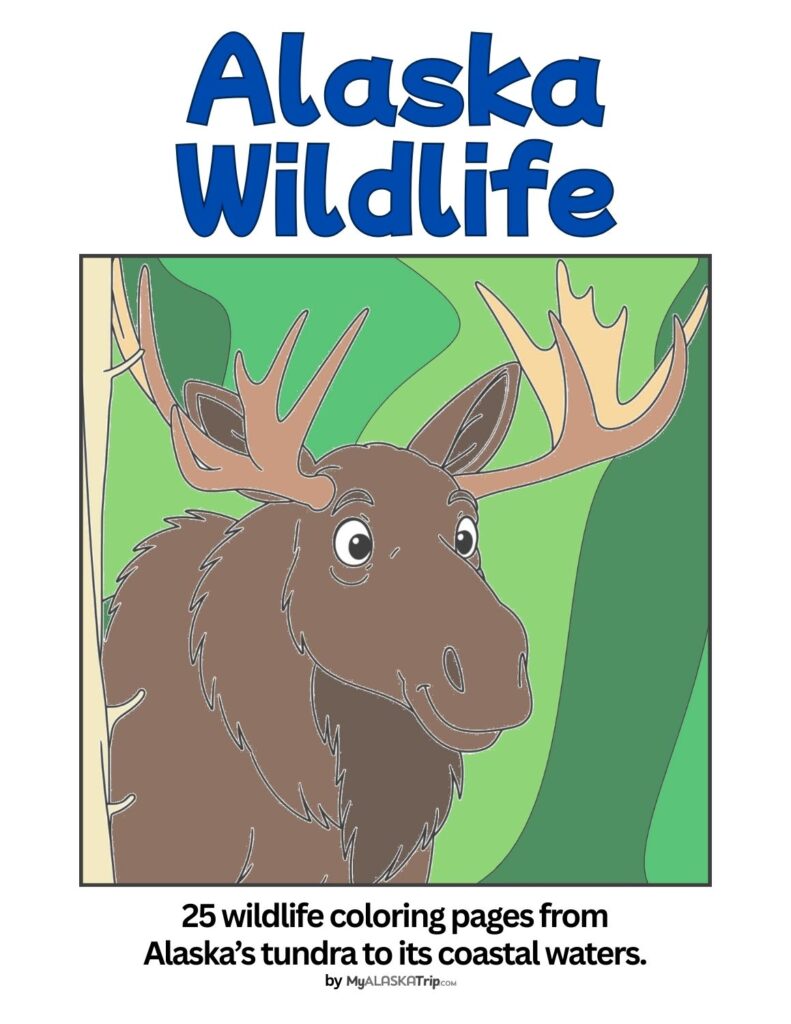 Alaska Wildlife Coloring Book