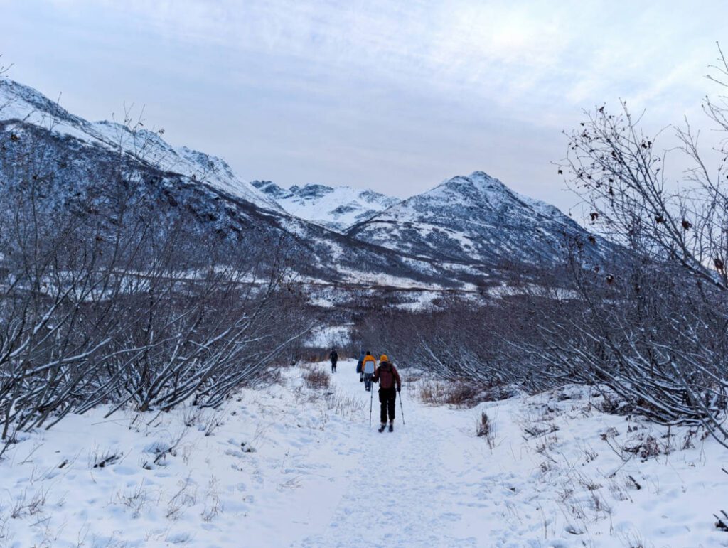 Nordic Skier on Gold Mint Trail in Hatcher Pass Palmer Alaska 1