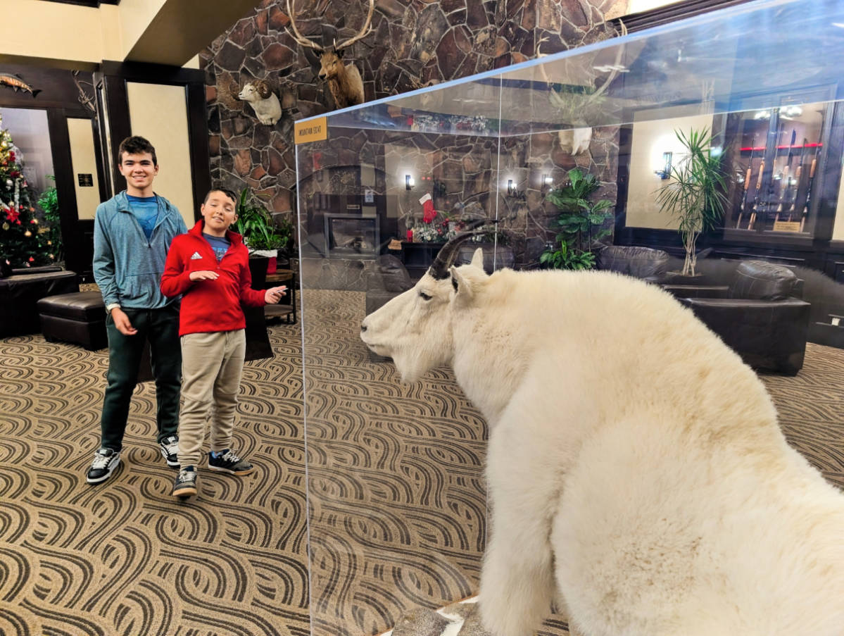 Taylor Family in Lobby of Lakefront Millennium Hotel Anchorage Alaska 1