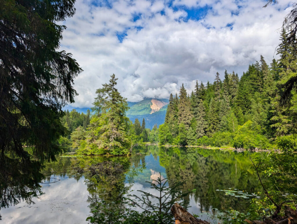 Mosquito Lake State Park off Haines Highway Haines Alaska 1