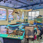 Aquarium Touch Tanks in Sitka Sound Science Center Sitka Alaska 2