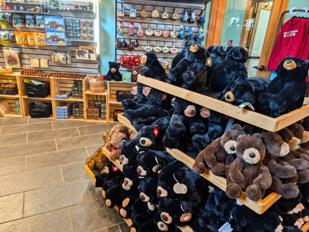 Gift Shop at Fortress of the Bear Sanctuary Sitka Alaska 1