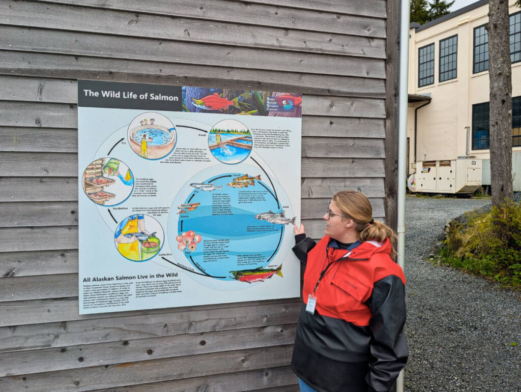 Salmon Hatchery Tour at Sitka Sound Science Center Sitka Alaska 1