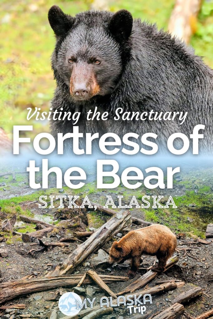 Fortress of the Bear in Sitka, Alaska is a unique sort of sanctuary. Located just outside of town, getting to learn about black and brown bears and then see them up close is a special experience. See what you'll find at Fortress of the Bear and how to add it to your time in Sitka.