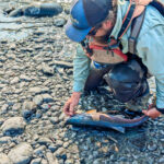 Catching Sockeye Salmon with Copper River Guides on the Klutina River Copper River Alaska