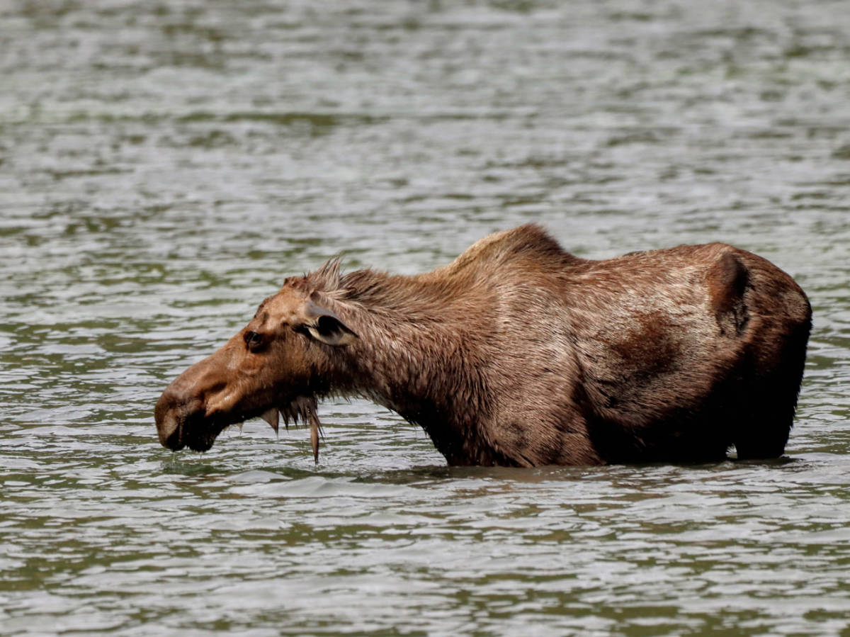 Easy 5-Day Itinerary for Wrangell-St Elias National Park and the Copper Valley