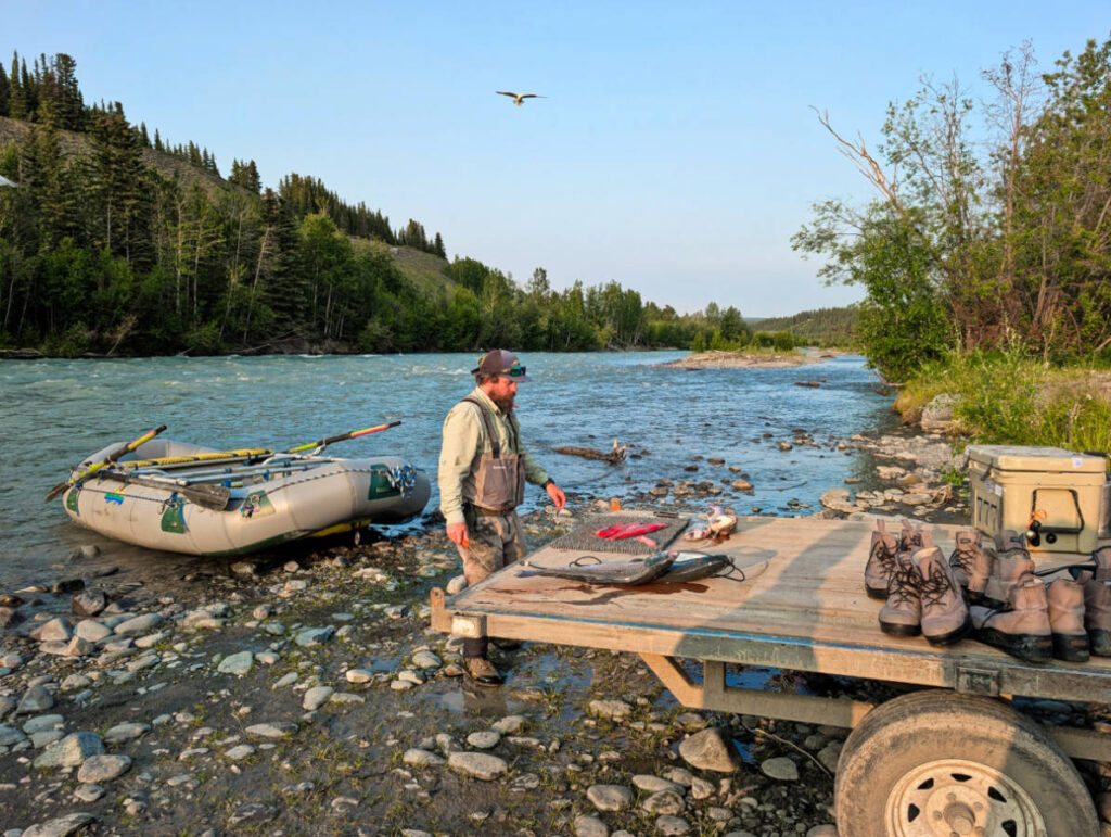 Guide Cleaning Sockeye Salmon Copper River Guides on the Klutina River Copper River Alaska