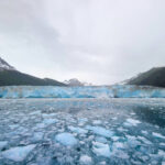 Meares Glacier from Stan Stephens Glacier and Wildlife Cruise on Prince William Sound from Valdez Alaska