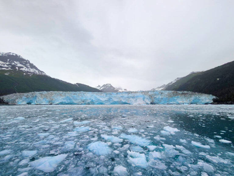 Meares Glacier from Stan Stephens Glacier and Wildlife Cruise on Prince William Sound from Valdez Alaska