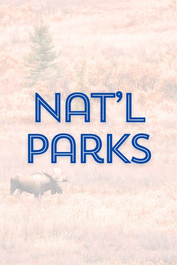 NPS Button