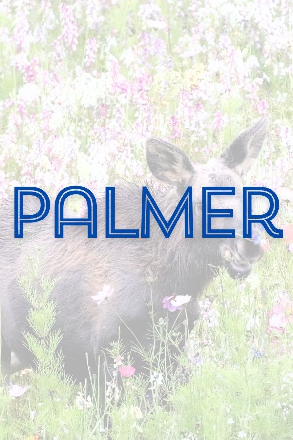 Palmer Button