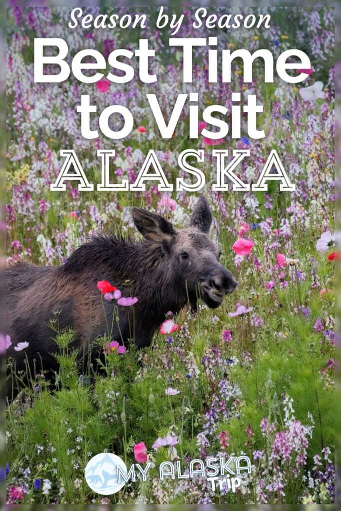 The best time to Visit Alaska completely depends on what you want to experience, from wildlife to the Northern Lights. See what Alaska is like in each season (including winter) and what you can expect from a peak summer visit versus Alaska in the shoulder season.