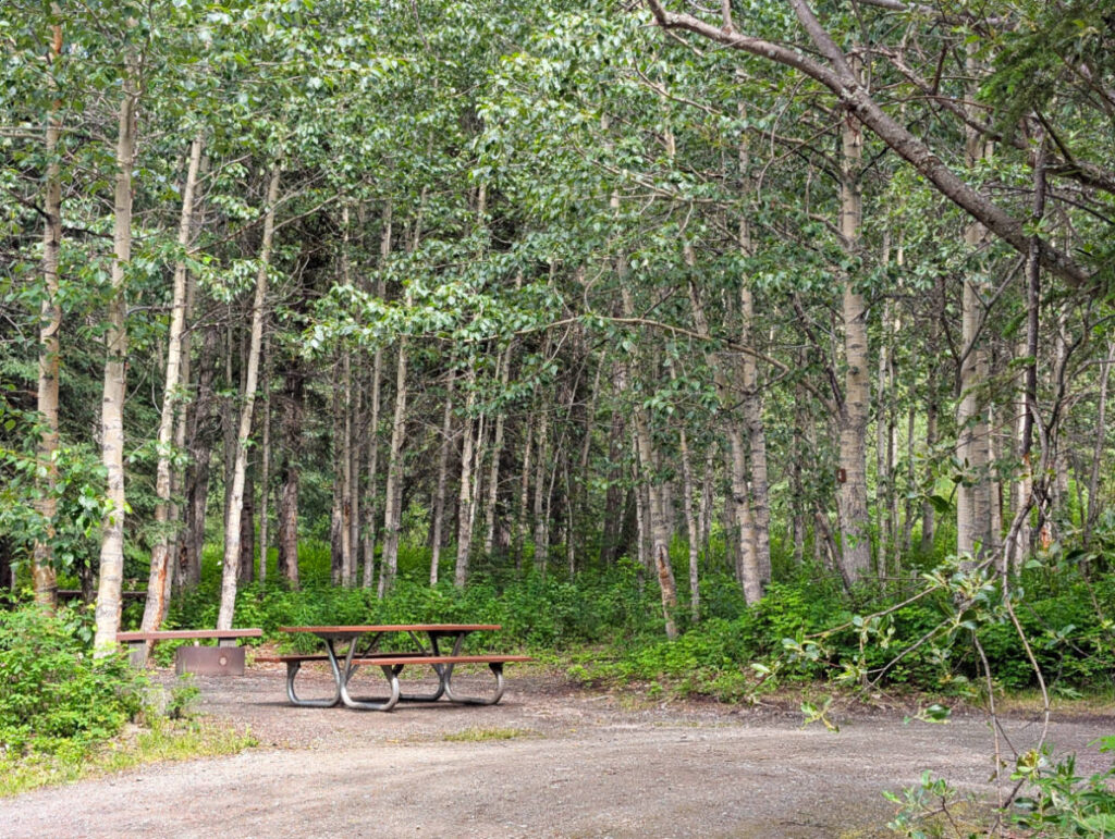 Campground at Matanuska Glacier State Recreation Site Chickaloon Alaska