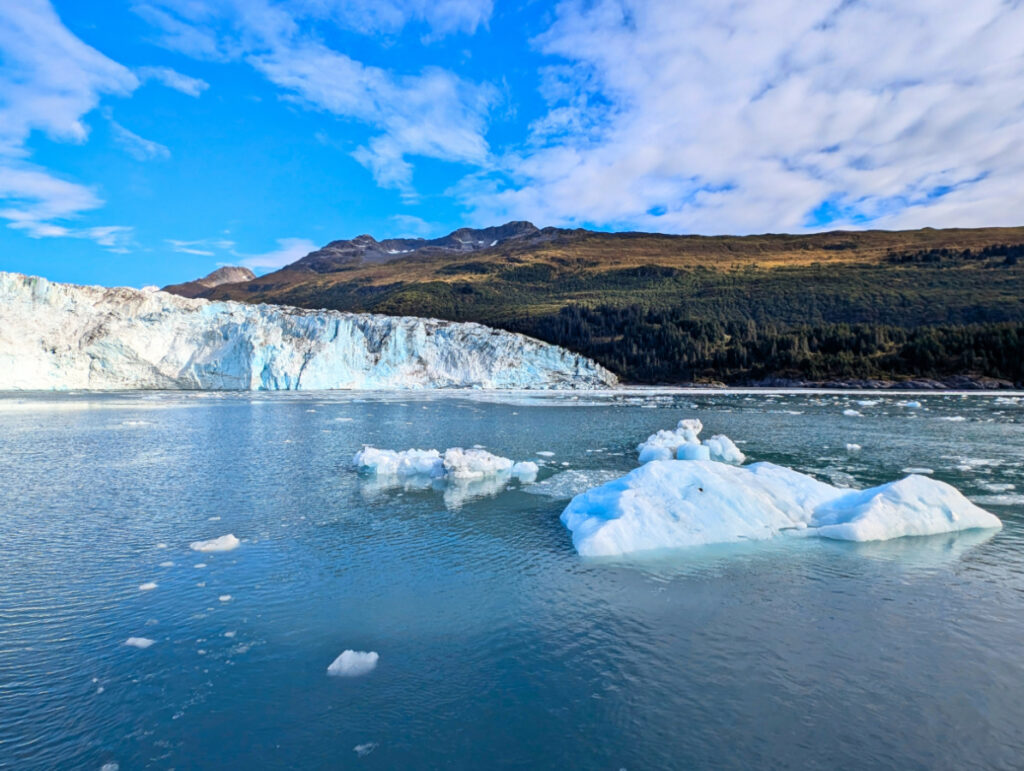 Icebergs at Harvard Glacier College Fjord on Phillips 26 Glacier Cruise Prince William Sound Whittier Alaska