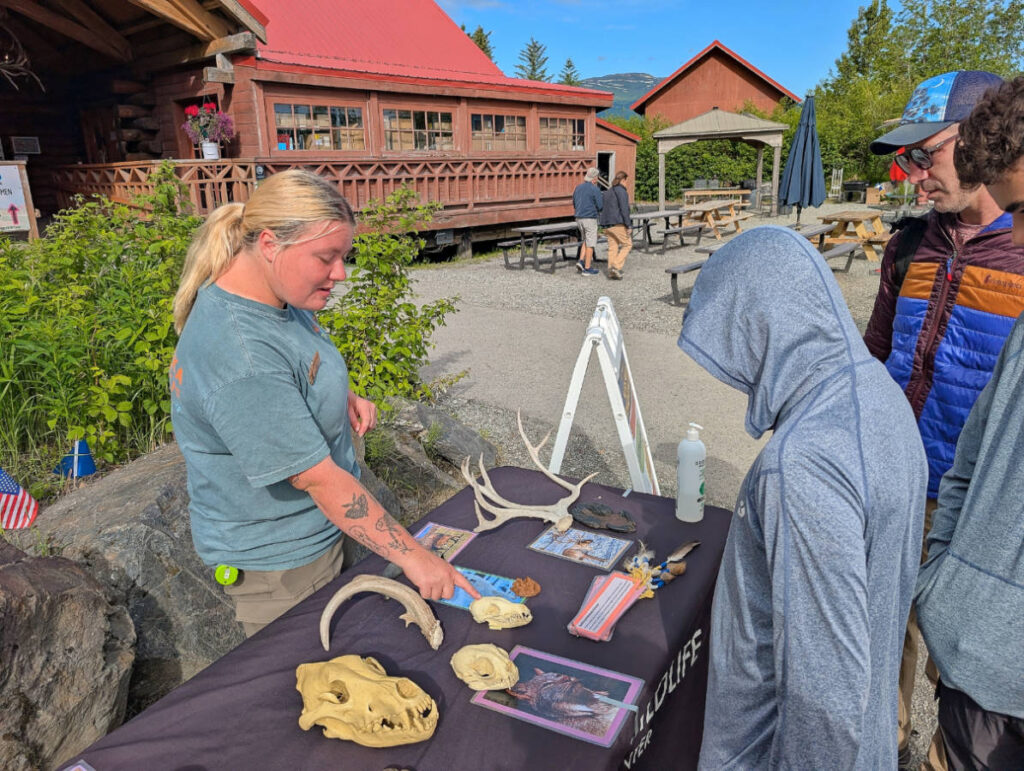 Interpretative Table at Alaska Wildlife Conservation Center Girdwood Alaska