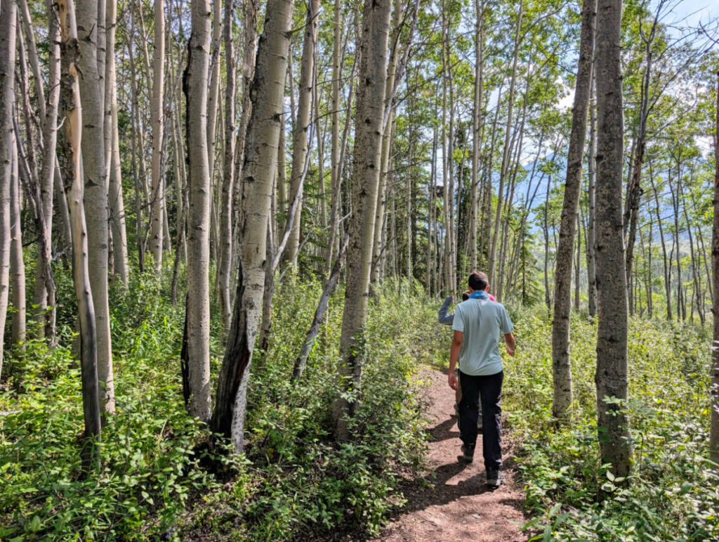 Taylor Family hiking River Trail at Matanuska Glacier State Recreation Site Chickaloon Alaska