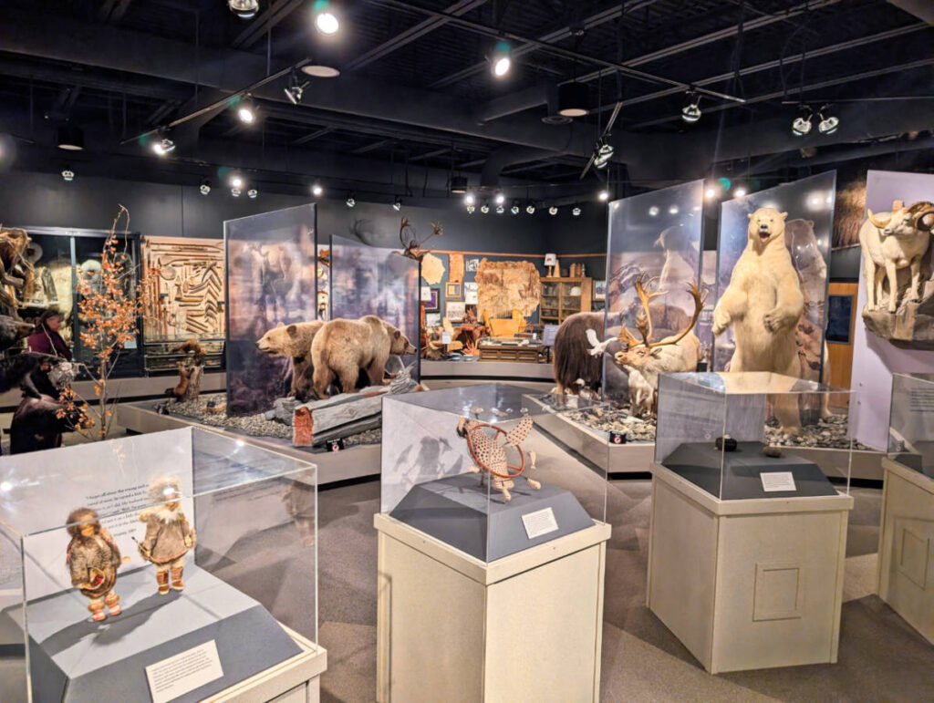 Taxidermy and Artifact Collection at Whitney Museum Valdez Alaska