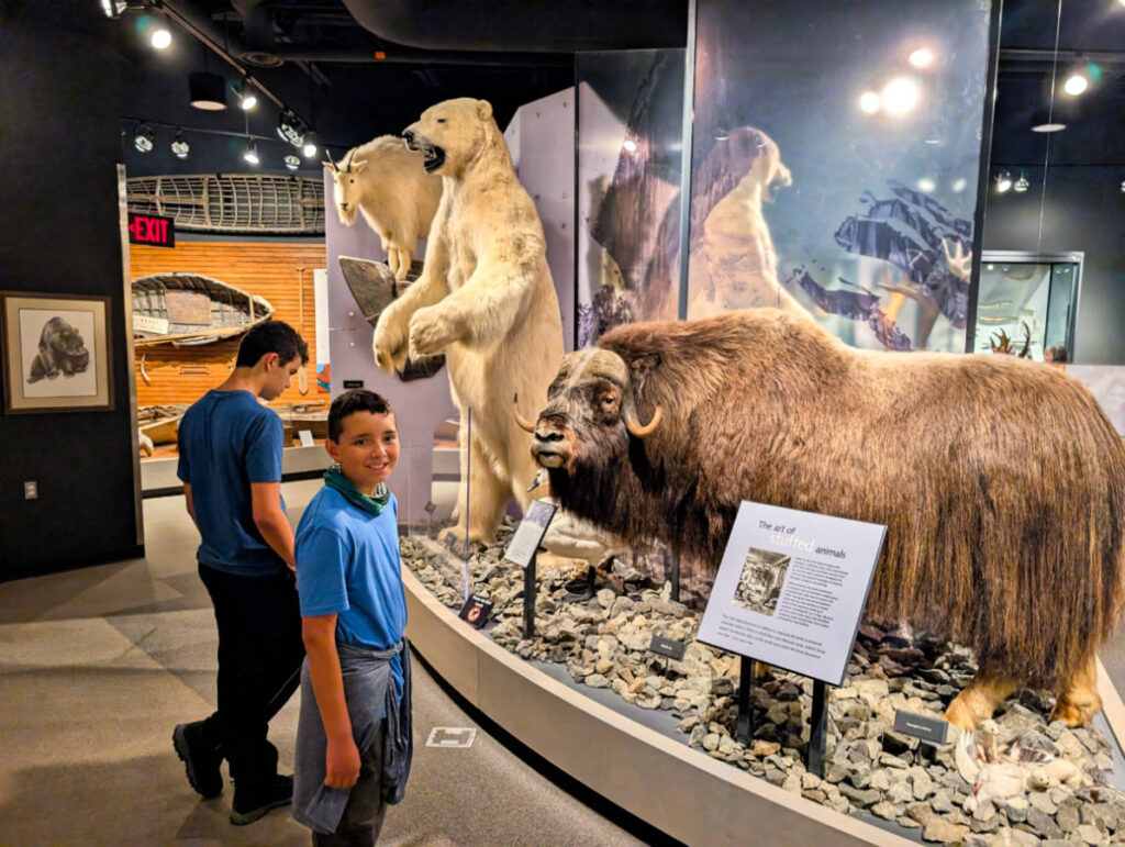 Taylor Family with Taxidermy Exhibit at Whitney Museum in Valdez Alaska