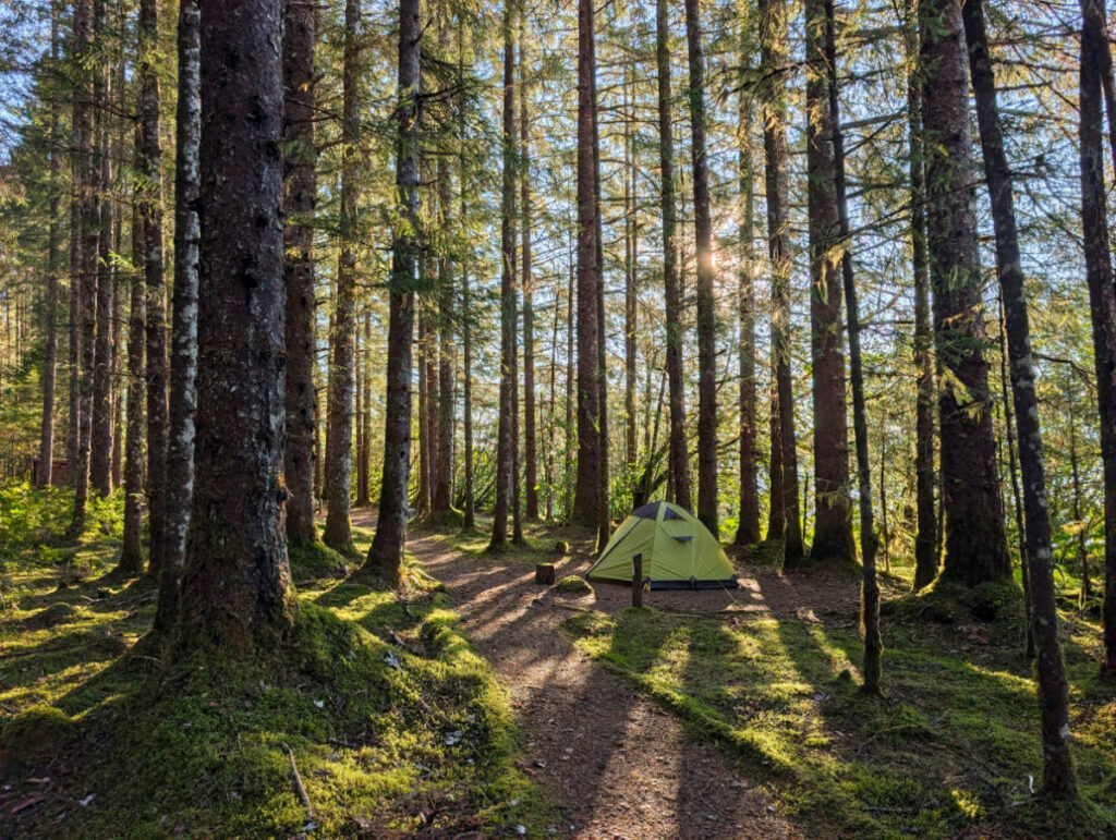 Campground at Bartlett Cove in Glacier Bay National Park Gustavus Alaska