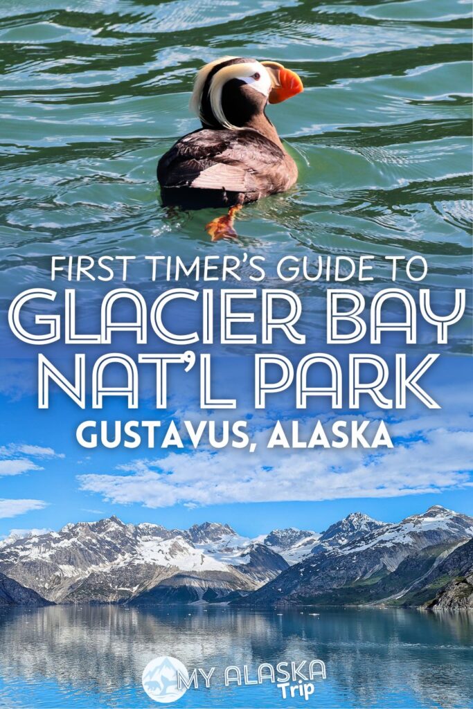 Visiting Glacier Bay National Park is a bucket list Alaska experience, but it's complicated to get to. We've got the full scoop on how you can get to Glacier Bay and Gustavus, AK as well as the different things to do in the park, most notably the epic Glacier Bay boat tour.
