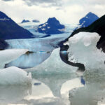 Iceberg at Grewingk Glacier Lake Kachemak State Park Homer Alaska