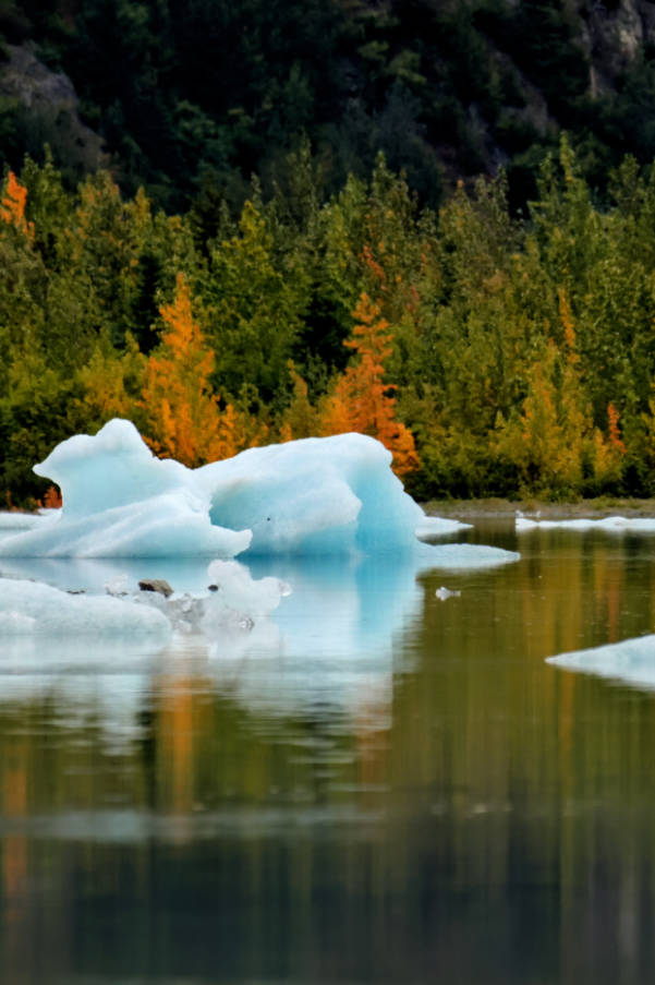 Iceberg at Grewingk Glacier Lake Kachemak State Park Homer Alaska