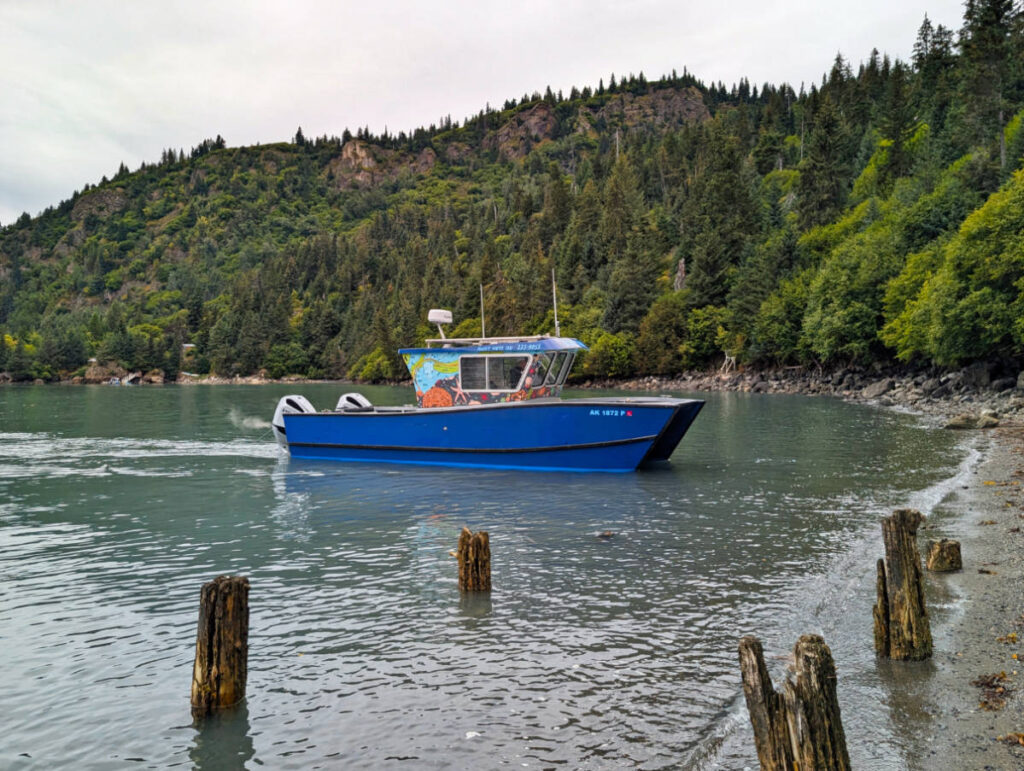 Makos Water Taxi pickup in Halibut Cove Kachemak Bay State Park Homer Alaska