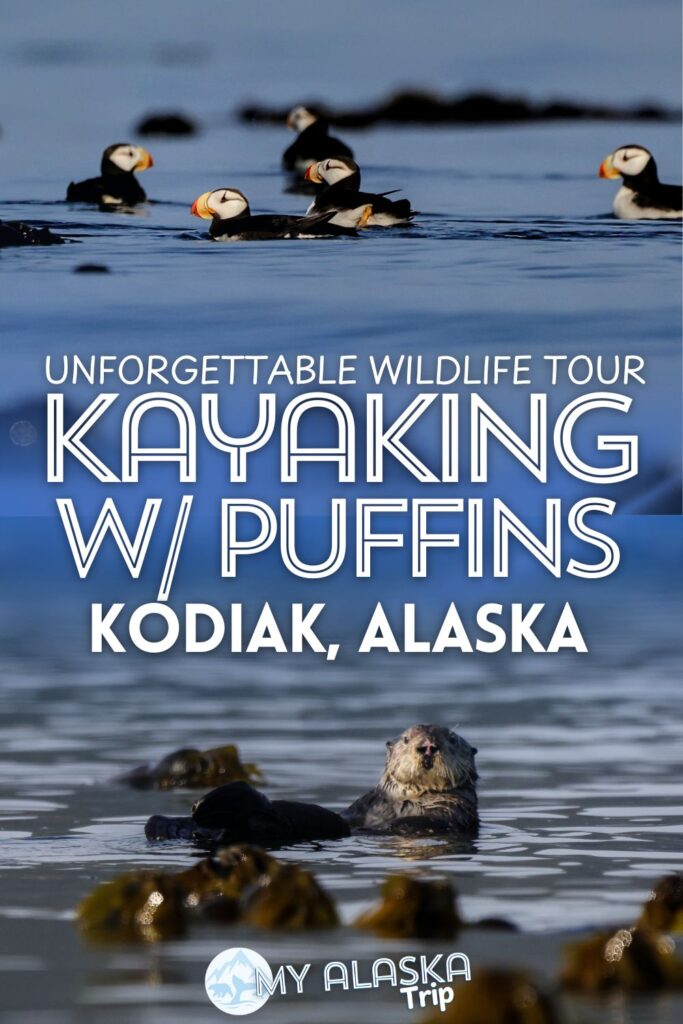 Kayaking with puffins needs to be on your plans for seeing wildlife in Alaska. Kayaking Kodiak is a great way to get on the water with both horned and tufted puffins, sea otters, seals and more. See how you can add this to your trip to Alaska and why it's worth planning an adventure to Kodiak.
